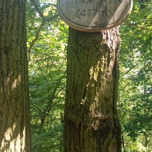 Benešovská pahorkatina