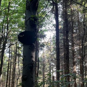 Moravskoslezské Beskydy