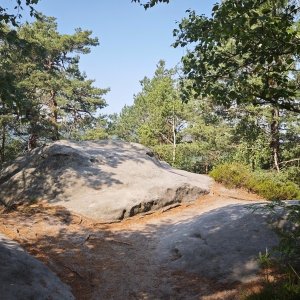 Gohrisch