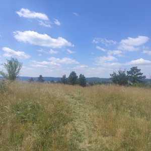Čebínský kopec