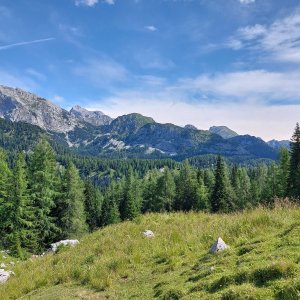 Planina pri jezeru - Planina Viševnik - Bari