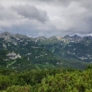 Orlove Glave - Šija