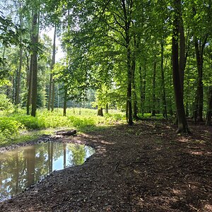 Kleštěnec