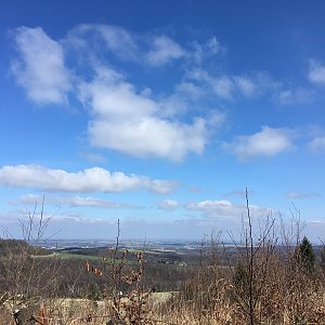 Afternoon Walk