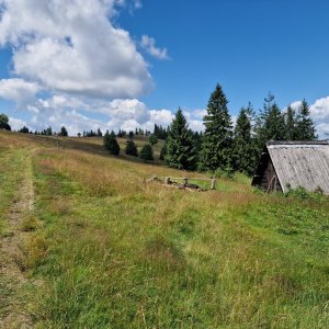 Lachów Groń, Jałowiec, Czerniawa, Beskydok, Jaworzyna