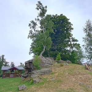 Žulovská pahorkatina