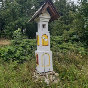 Rychlebky 1: Javorník - Žulová