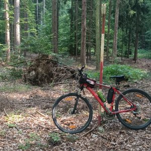 2025-07-20 Singletrack Jedovnice