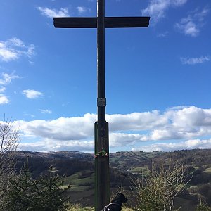Afternoon Walk