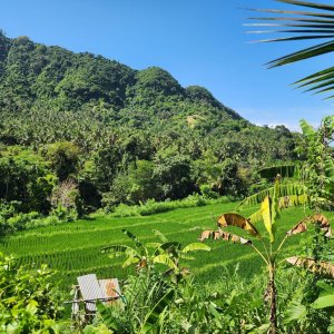 Manggis - Pucut - Pemukuran - Juwet - Selumbung, Karangasem, Bali