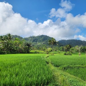 Karanganyar - Luhur - Sidemen - Amerta Bhuana, Karangasem, Bali