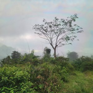  Dawan Klod - Bukit Abah - Talibeng, Klungkung, Bali