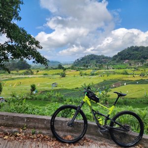 Tista - Poh - Komala - Tirtagangga, Karangasem, Bali