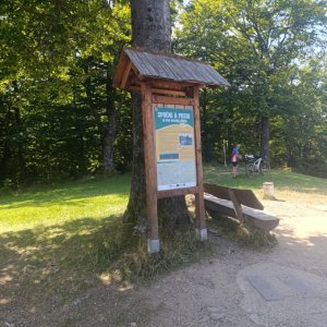 Javorníky