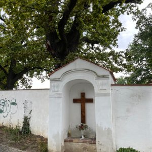 Přírodní park Šárka