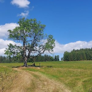 Malá Morávka - Železný vrch 
