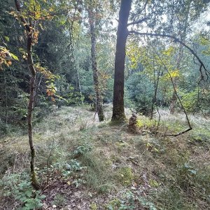 Vlašimská pahorkatina