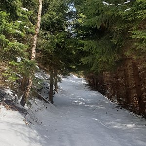 Javorový (32vrcholu.cz)