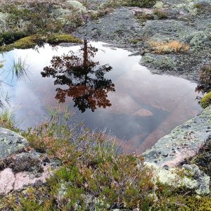 Švédsko - Skuleskogen