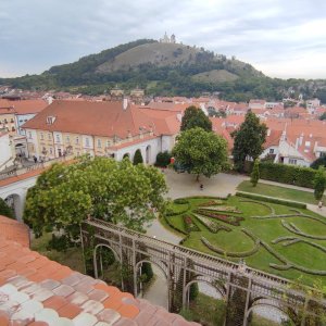 Pavlovské vrchy