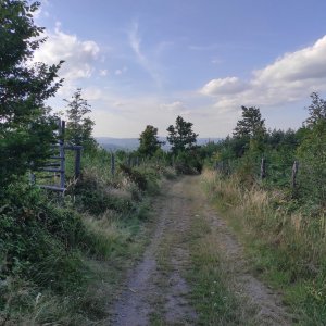 Sychrov