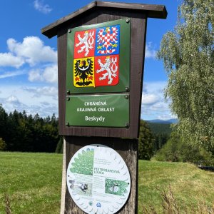 Bílá