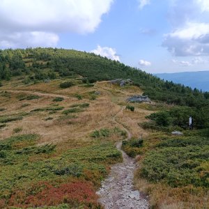 2025-09-01 Andrejcová - Priehyba