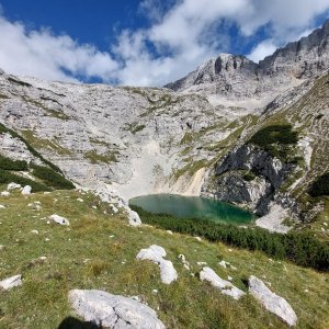 Julky - Griva