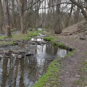 Kozinec