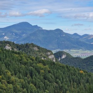 Borovník, Vtáčnik, Málinô