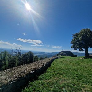 Kalich