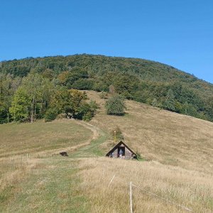 V.Kozinec- BMB