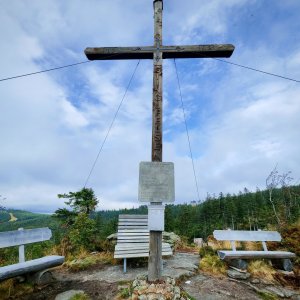 Smrčina přes Fleischhackerberg z Ulrichsbergu