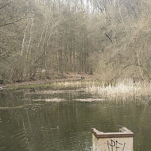 Brno Lunch Run