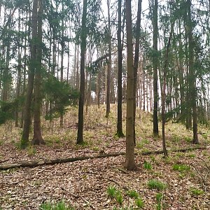 Libovka + Jedlový vrch