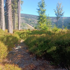 Krkonoše