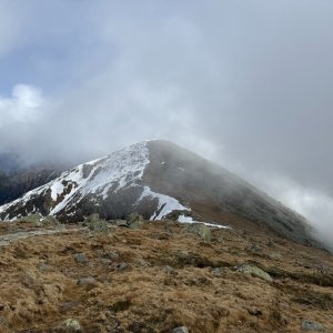 Dumbier
