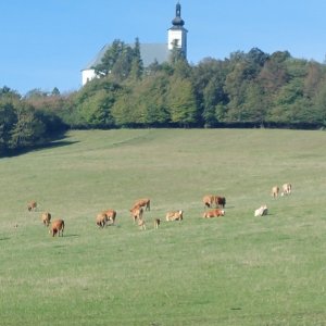 Uhlířský vrch 
