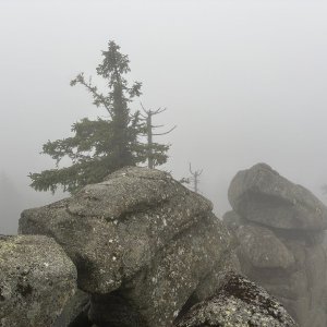 Třístoličník-Hochstein