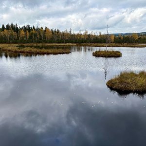 1000ky Borová Lada S