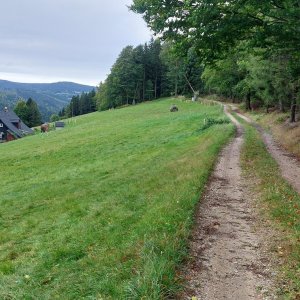 Jizerské hory - okruh ze Souše přes Zelený vrch - Jelení stráň - Bukovec