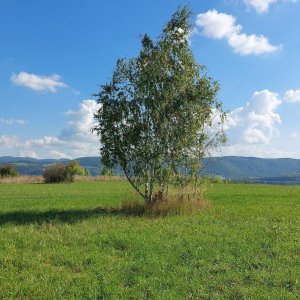 České středohoří - na Ultrakopec Vaňovský vrch 