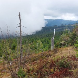 Šumava - ze Svarohu na Kleiner Osser 