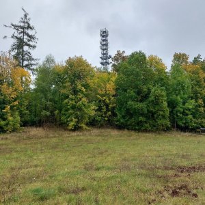 Krkonošské podhůří - Ultrakopec Kozinec
