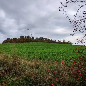 Strážnice z Budišovic