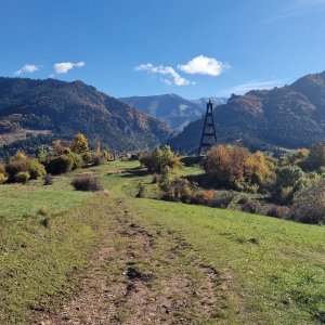 Mravečník