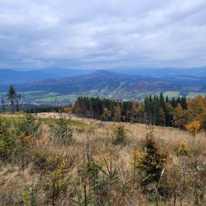 Oldřichovice - Dolní Lomná