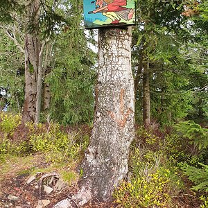 Moravskoslezské Beskydy