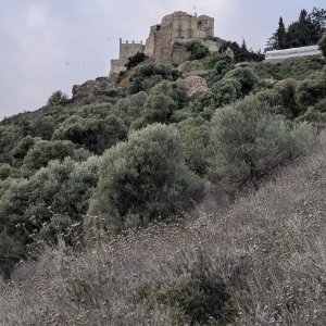 Troodos
