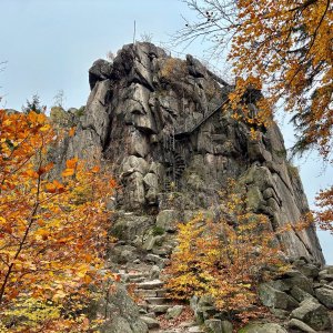 Krzyźna-Sokolik
